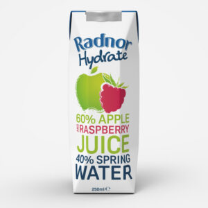 Radnor Hydrate Apple & Raspberry Cartons 250ml x 24 - REDUCED TO CLEAR (BB 28/02/27)