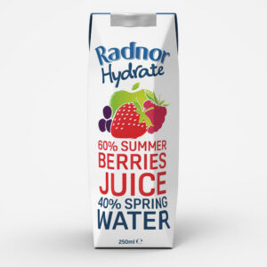 Radnor Hydrate Summer Berries Cartons 250ml x 24 - REDUCED TO CLEAR (BB 28/02/27)