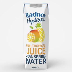 Radnor Hydrate Tropical Cartons 250ml x 24 - REDUCED TO CLEAR (BB 28/02/27)
